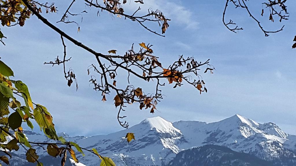 Oase Zum Sein Apartment Spiez Luaran gambar