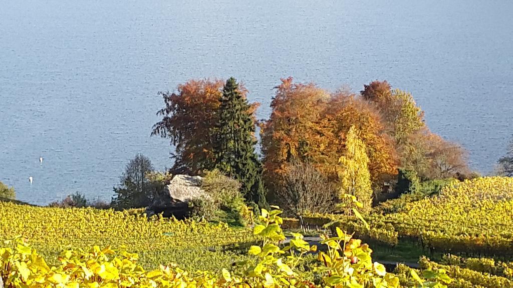 Oase Zum Sein Apartment Spiez Bilik gambar
