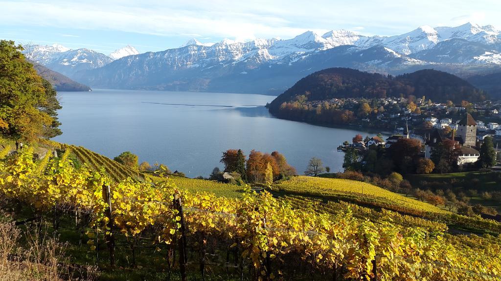 Oase Zum Sein Apartment Spiez Luaran gambar